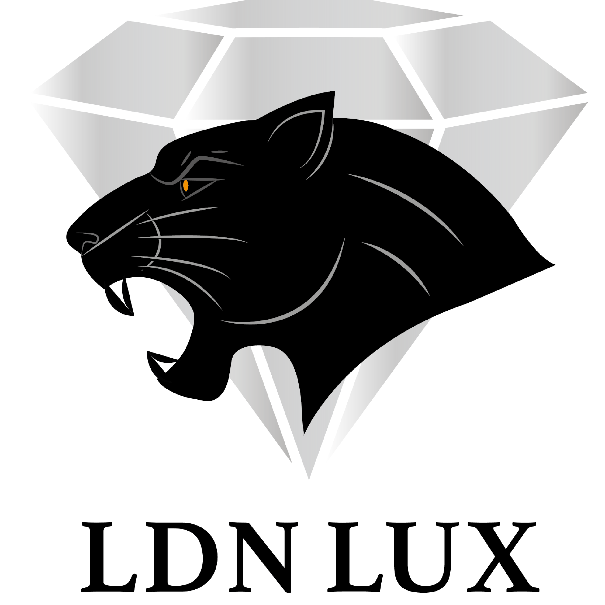 web-type-1-scaled